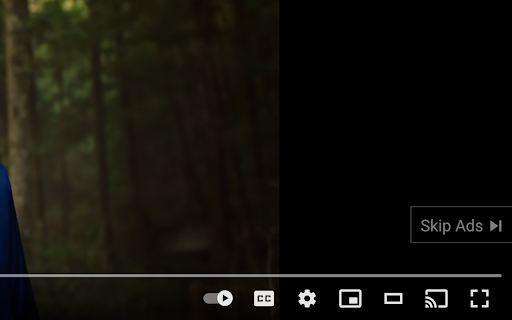 YouTube Ad Skip Screenshot